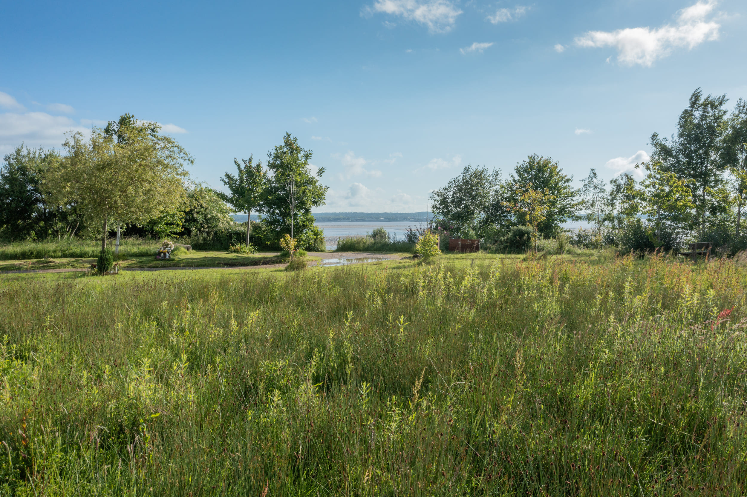DJI_0123-StrongIsland-2500px-72dpi-WEB