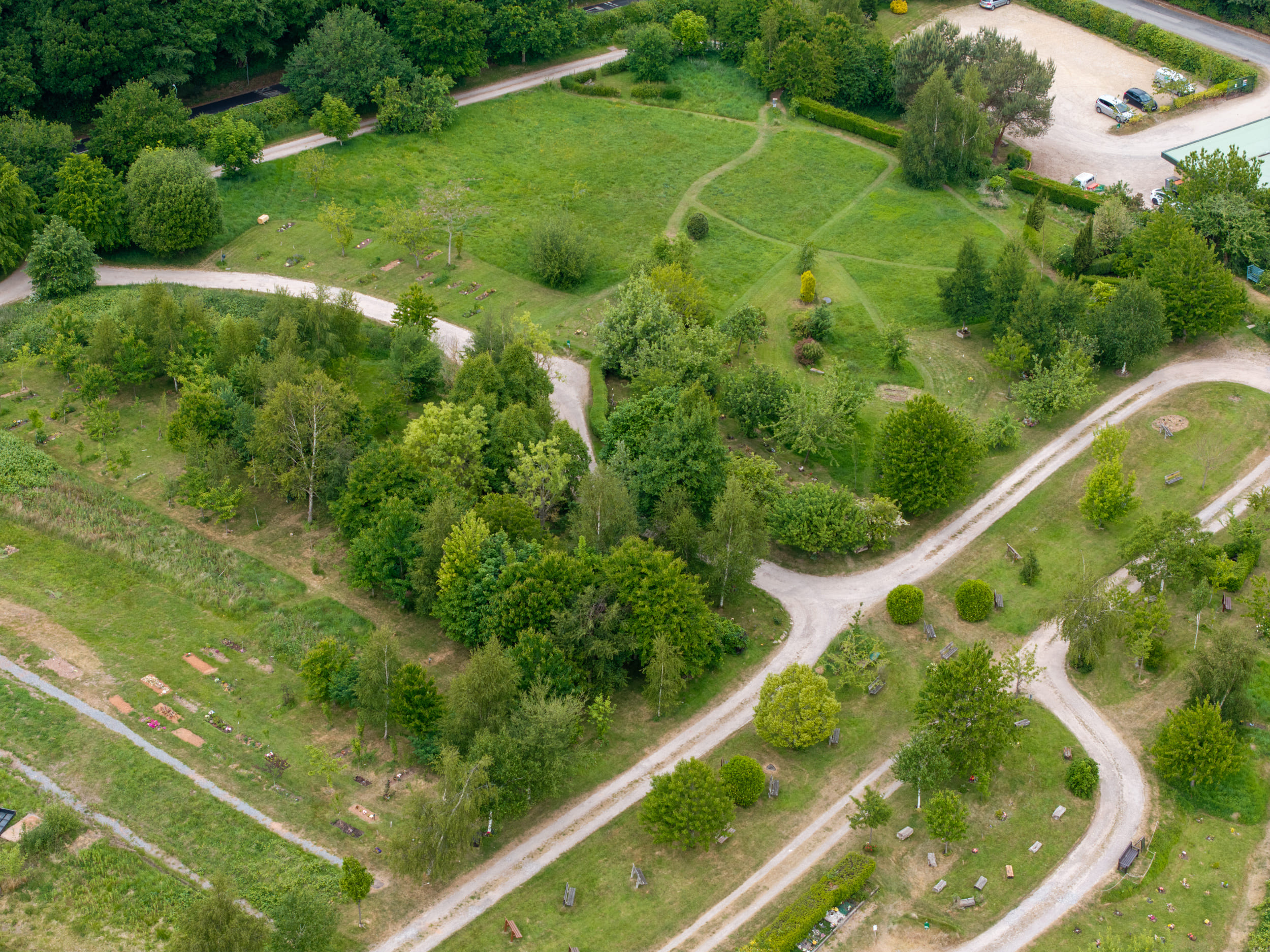 DJI_20250519093039_0168_D-HDR-StrongIsland-72dpi-2500px-WEB